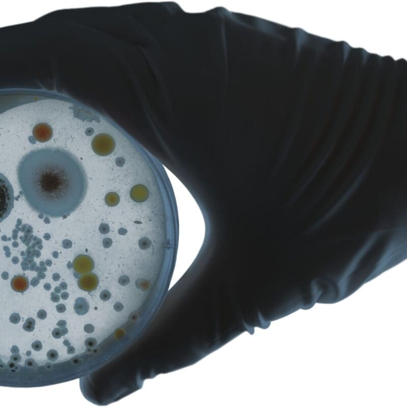 USP Test for the Absence of Specified Microorganisms | Microchem Laboratory